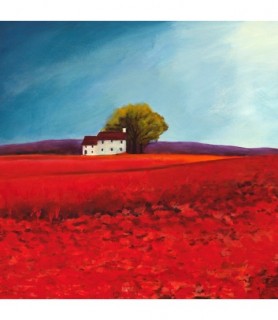 Field of poppies (detail) - Philip Bloom