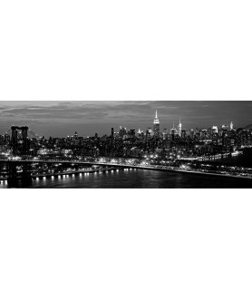 Midtown Manhattan and Williamsburg Bridge - Richard Berenholtz