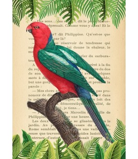 The Australian king parrot,...