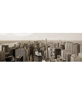 Manhattan Looking South - Richard Berenholtz