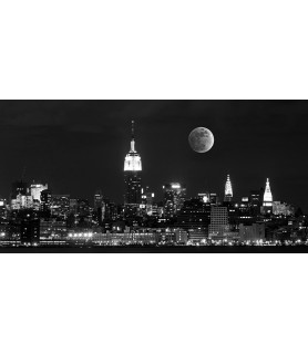 Moonlight over Manhattan -...