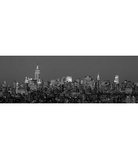 Manhattan Skyline (detail) - Richard Berenholtz
