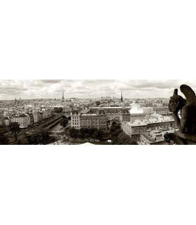 Paris Panorama - Vadim Ratsenskiy