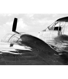Vintage Aircraft (detail) -...