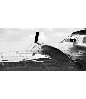 Vintage Aircraft - Monica...