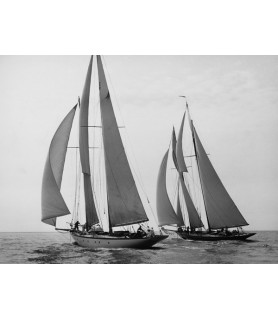 Sailboats Race during Yacht...