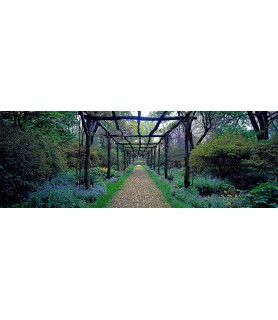 Garden path, Old Westbury Gardens, Long Island - Richard Berenholtz