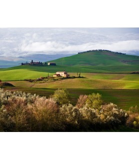 Tuscan Countryside - Vadim Ratsenskiy