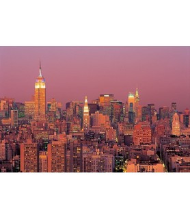 Sunset over Manhattan - Richard Berenholtz
