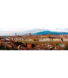 Panoramic view of Florence - Vadim Ratsenskiy