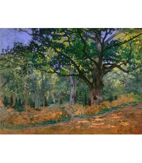 The Bodmer Oak, Fontainebleau Forest - Claude Monet