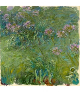 Agapanthe - Claude Monet