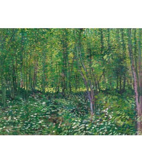 Trees and undergrowth - Vincent van Gogh
