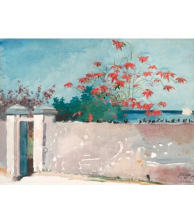 A Wall, Nassau - Winslow Homer