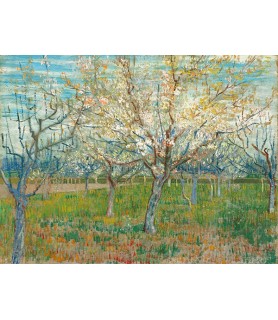 The Pink Orchard - Vincent...