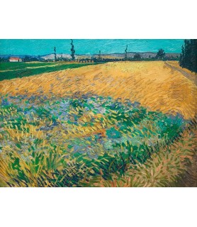 Wheatfield - Vincent van Gogh