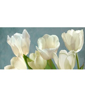 White Tulips on Blue - Luca...