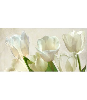 White Tulips (detail) - Luca Villa