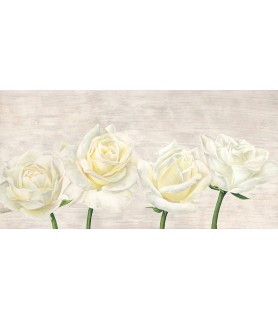 Classic Roses - Jenny Thomlinson