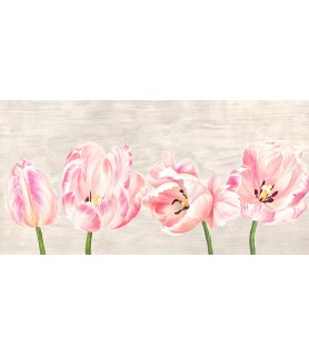 Classic Tulips - Jenny Thomlinson