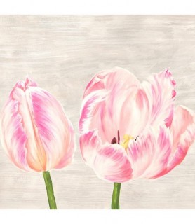 Classic Tulips I - Jenny Thomlinson