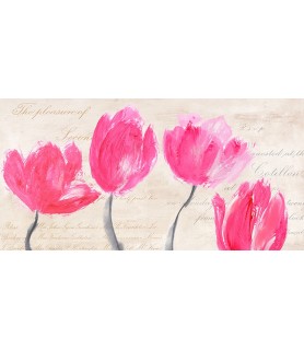 Classic Tulips - Muriel Phelipau