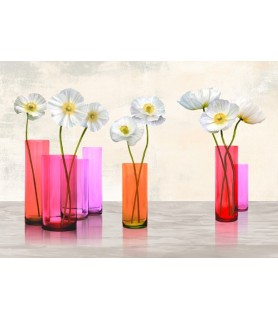Poppies in crystal vases...