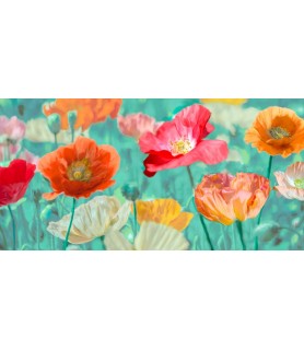 Poppies in Bloom - Cynthia Ann